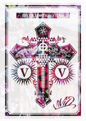 ViViD LIVE 2012「TAKE OFF ～Birth to the NEW WORLD～」at日本武道館 | ViViD |  ソニーミュージックオフィシャルサイト