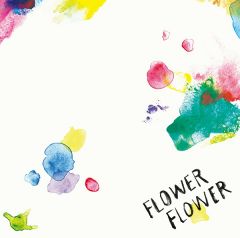 ディスコグラフィ | FLOWER FLOWER | ソニーミュージックオフィシャルサイト
