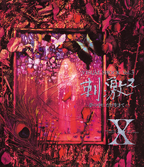 刺激！ VISUAL SHOCK Vol.2 | X JAPAN | ソニーミュージック 